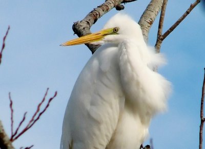Closer Look.jpg