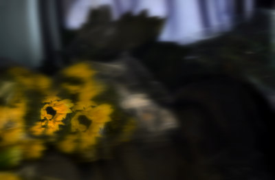 656 copy.jpg
