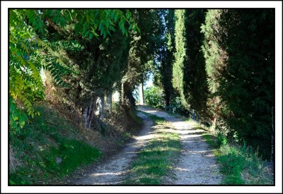 Lucignano d'Asso