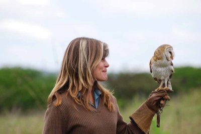 BARN OWL