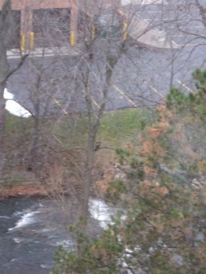 moms_photos_112908