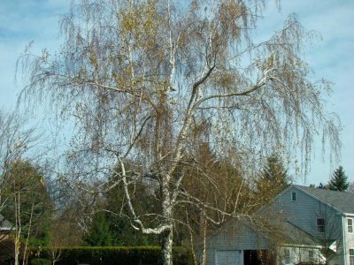 moms_photos_111209