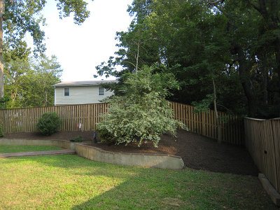 Back Yard Corner