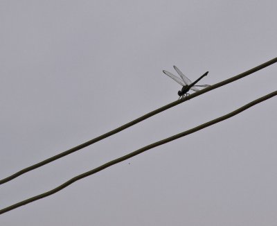 g5/61/302061/3/100398910.GJ1qsb1N.jpg