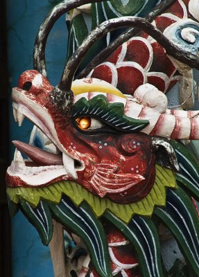 Dragon Ben Tre, Vietnam, January 2008</FONT