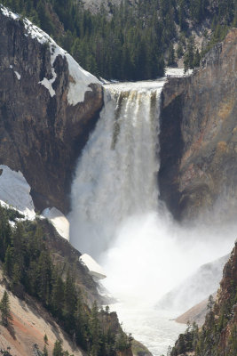 yellowstone2008