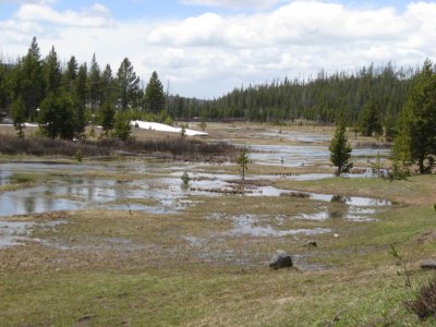 Upper Gibbon River