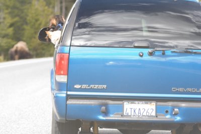 Tourons and their Dogs