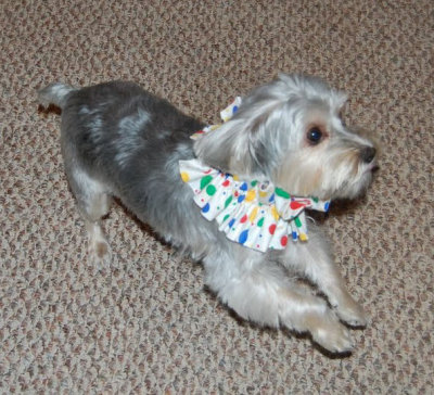Reggie the clown
