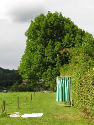 g5/61/338261/3/100520399.Rbwsfvpp.jpg