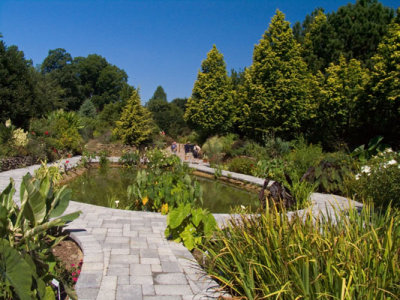 View of Aquatic Sunken Garden