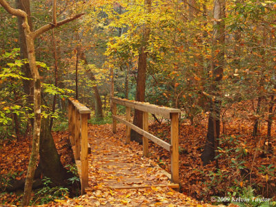 Toms Creek trail bridge