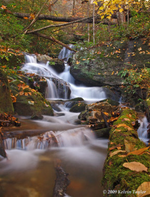 Toms Creek