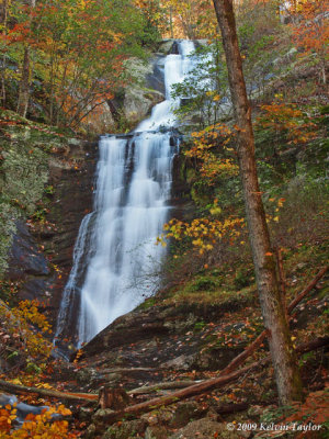 Toms Creek Falls 1