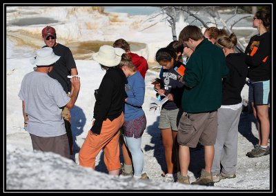 Yellowstone