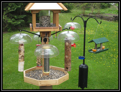 Bird feeders 2008