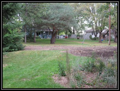 Back of the yard 2009