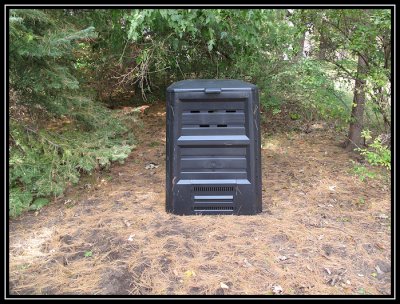 Compost bin 2009