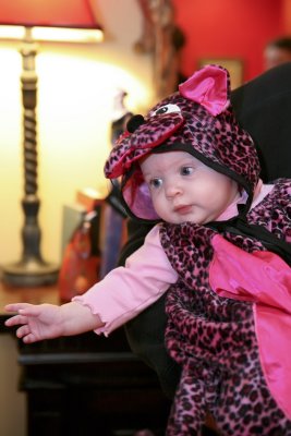 IMG_5482-Email.jpg
