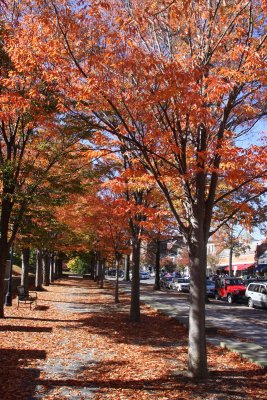 Downdown Princeton