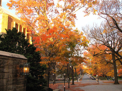 Princeton Campus