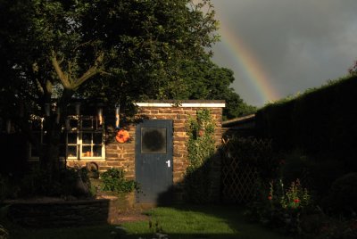 early morning in the garden