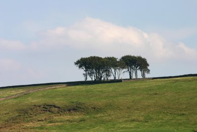 g5/61/523761/3/67748281.ROFqDV4E.jpg