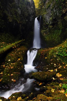 Lindsey Creek Falls, Autumn Study