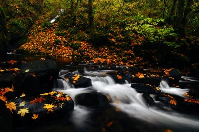 Bridal Veil Creek #6