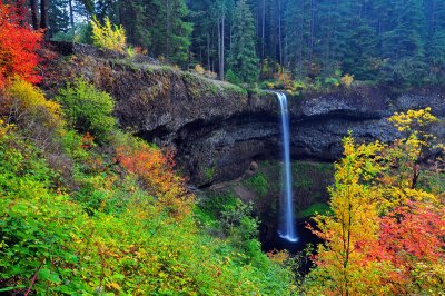 South Falls, Autumn Study #3