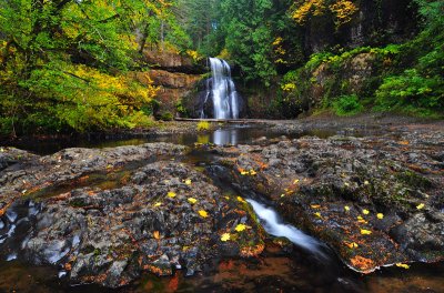 Upper North Falls, Autumn Study