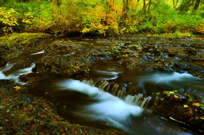 North Fork Silver Creek, Autumn Study #6