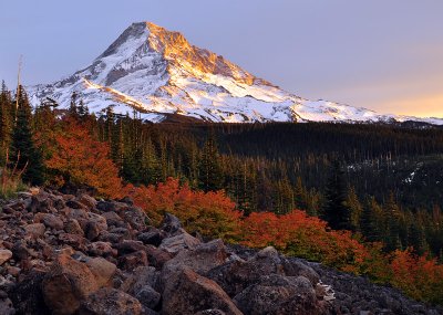 Mount Hood Vista Ridge Autumn Study #3