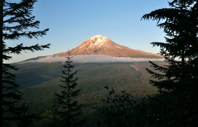 Mount Hood from TDH Trail, Study 3