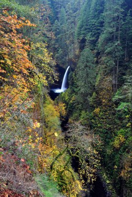 Metlako Falls, Autumn Study