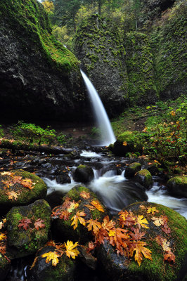 Ponytail Falls (Autumn #6)