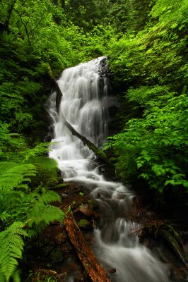 Upper Munra Creek Waterfall #4, Study 1
