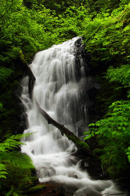 Upper Munra Creek Waterfall #4, Study 2