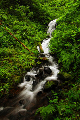 Upper Munra Creek Waterfall #4, Study 4