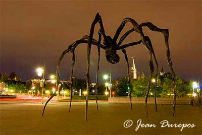  Spider  at the National Gallery of Canada