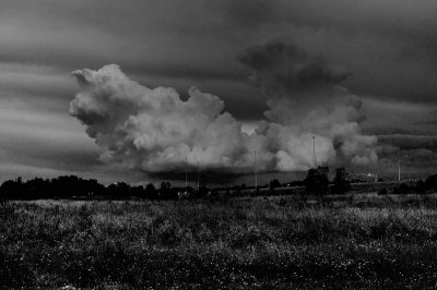 Something Wicked This Way Comes