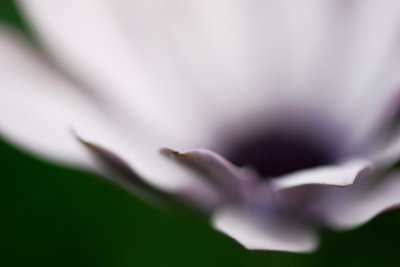 g5/61/751361/3/99672167.wWh3SDVj.jpg