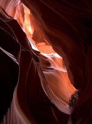 Slot Canyon