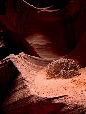 Slot Canyon