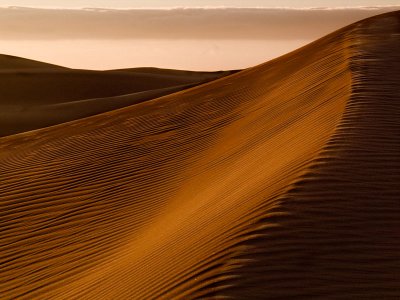 Guadalupe Dunes