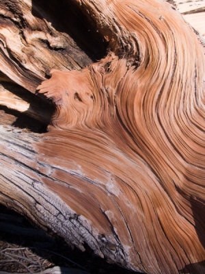 Wood Design