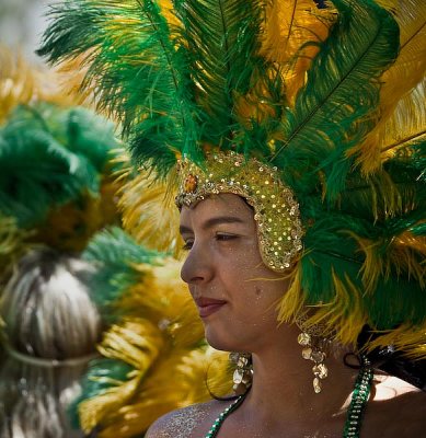 Summer Soltice Parade (2008)