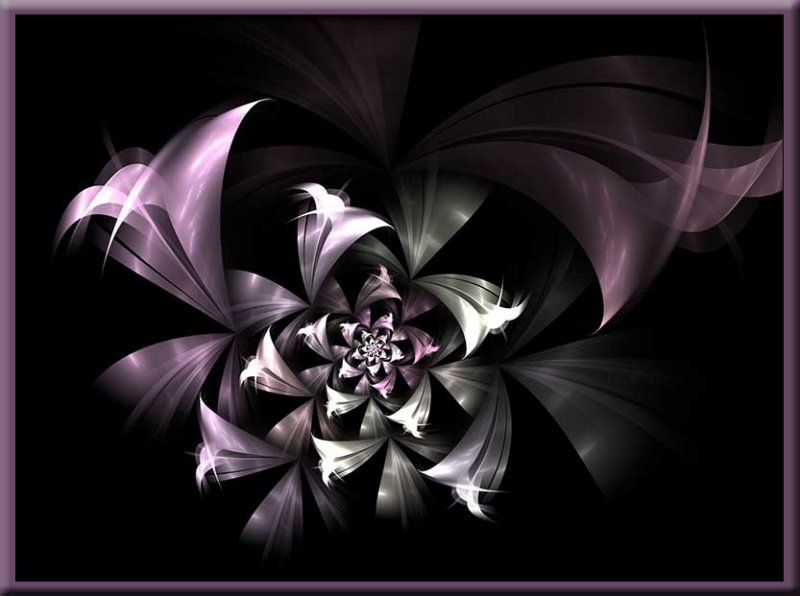 fractal flowers
