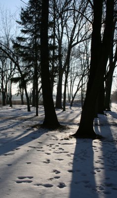 IMG_5516