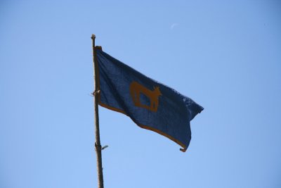 Flag of festival